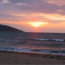 은빛물고기 이미지