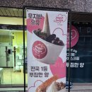 요거피플 네이버블로그