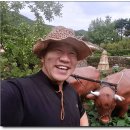 영양산촌생활박물관 이미지