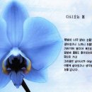 아름다운 손글씨 한글 캘리그라피 이미지