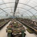 삼화농장 이미지