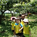 행전어린이집 이미지