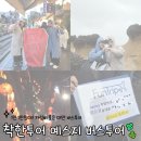 JESSY | 여행]마이리얼트립 착한투어 예스지 버스투어 후기 with 유경선 jessy 가이드님(비 오는 날 이용,내돈내산)