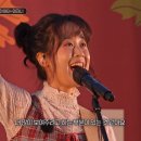 미지니 이미지
