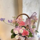 릴리플라워 이미지