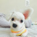 윤소현공인중개사사무소 이미지