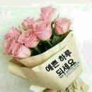 예쁜하루 - 서구 | 예쁜하루