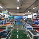 주전 활어회직판장 이미지