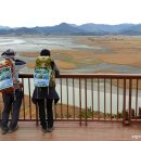 세포삼거리 이미지