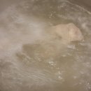 행복한찬방 이미지