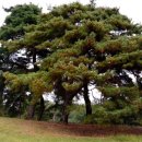 정구묘역 이미지