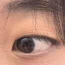 YK(와이케이)안과의원 | '25년 11월 일상 #2 (건강세탁, 레이저제모, 하드렌즈, 안경, 김장김치 )