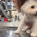 리액트짐 이미지