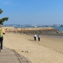 씨사이드파크 Daum카페