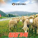 인성2농장 | 서울 근교 2시간! 증평 여행 필수템, '증평투어패스' 내돈내산 뽕뽑기 총정리 💫