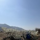 UR(포항시)-[기북로]-상-1 | 포항 비학산자연휴양림 근처 당구대 철판에 구운 삼겹살 맛집 기북농부가