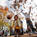 가을 카카오 검색결과