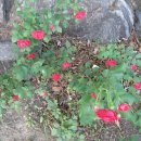 대박 행정사 사무소 이미지