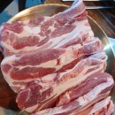 꿈나무태권도체육관 이미지