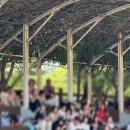 등나무문화공원 | 6월 6-8일 : 2025 무주 산골 영화제 2박3일 후기