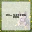 맑은미소치과 이미지