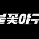 [대전/한밭야구장] 불꽃야구 직관 방송촬영 안전요원/진행요원 모집_09월 21일 이미지