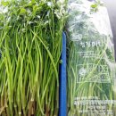 미나리경로당 이미지