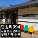 994 | 부여 카페 추천, 시골 촌캉스 느낌 낭낭한 갬성, 합송리994