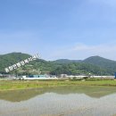 성산교(좌) 이미지