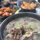 백세해장국 | 안산 고잔동 순대국 해장국 밥집 백세순대국 내돈내산