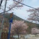 누리카츠 이미지
