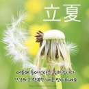 입하