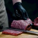 날마다생생한우 이미지