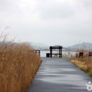 평화신선식품 이미지