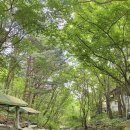 논배동산