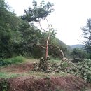 승일농장 이미지