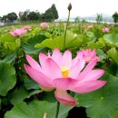 난정초등학교 이미지