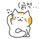 아이웰어린이병원 이미지