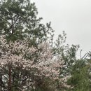 남문신발마트 | 26.04.01.-04.15. 일상