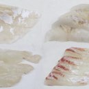 광어랑우럭이랑 이미지