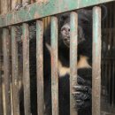 천리농장 이미지