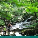 ♡2014.06.08(일)♡ 청풍호반의 금수산 ~ 망덕봉 절경으로... 이미지