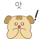 직구2