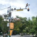 CCTV 이미지