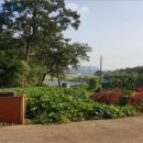 금천2리 새마지경로당 이미지