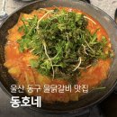 볶볶 | 울산동구맛집 방어동 동호네 물닭갈비 주차 가격 메뉴 솔직후기