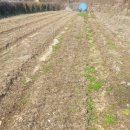 정관농장 이미지