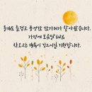 선광안경원 이미지