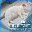 퍼즐로 | [내돈내산] 다이소 퍼즐매트 후기 (베란다 바닥 보수용 가성비 매트 추천)