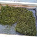 정원이 아름다운 집 이미지